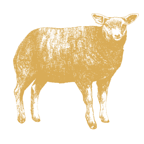 Grass-fed British lamb