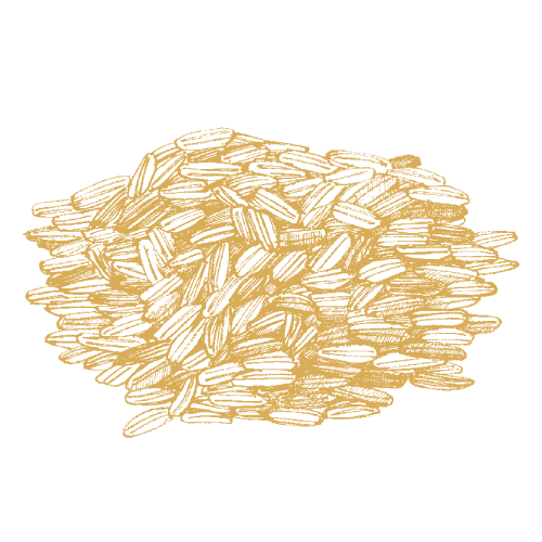 Brown Rice
