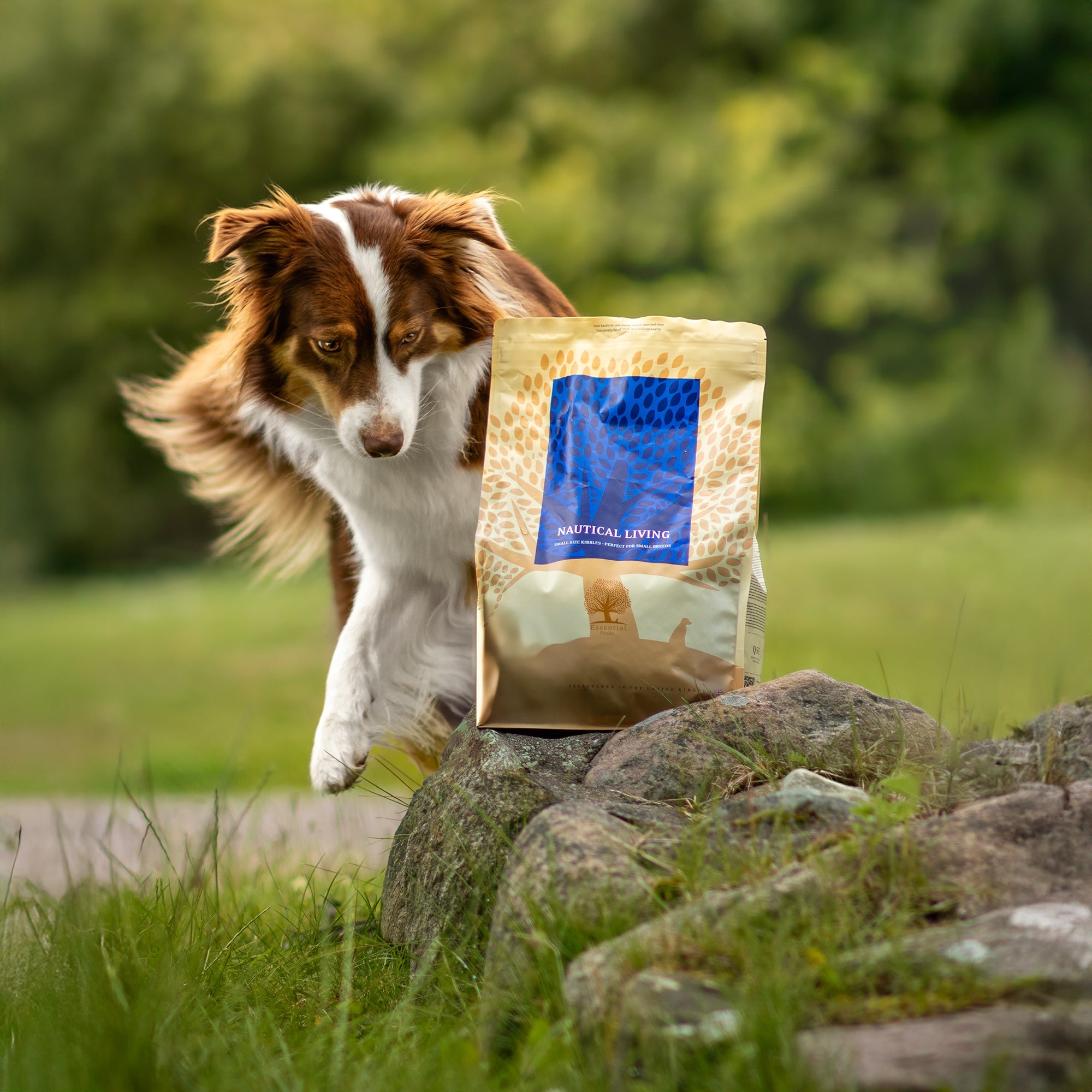 NAUTICAL LIVING, 2.5KG