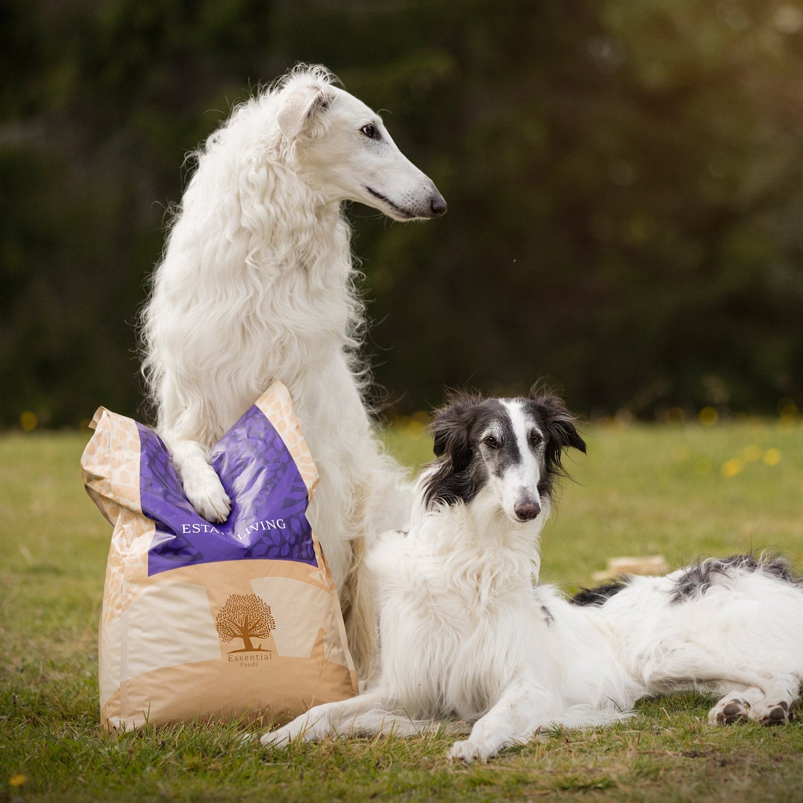 OUR FINEST ESTATE LIVING, 10KG