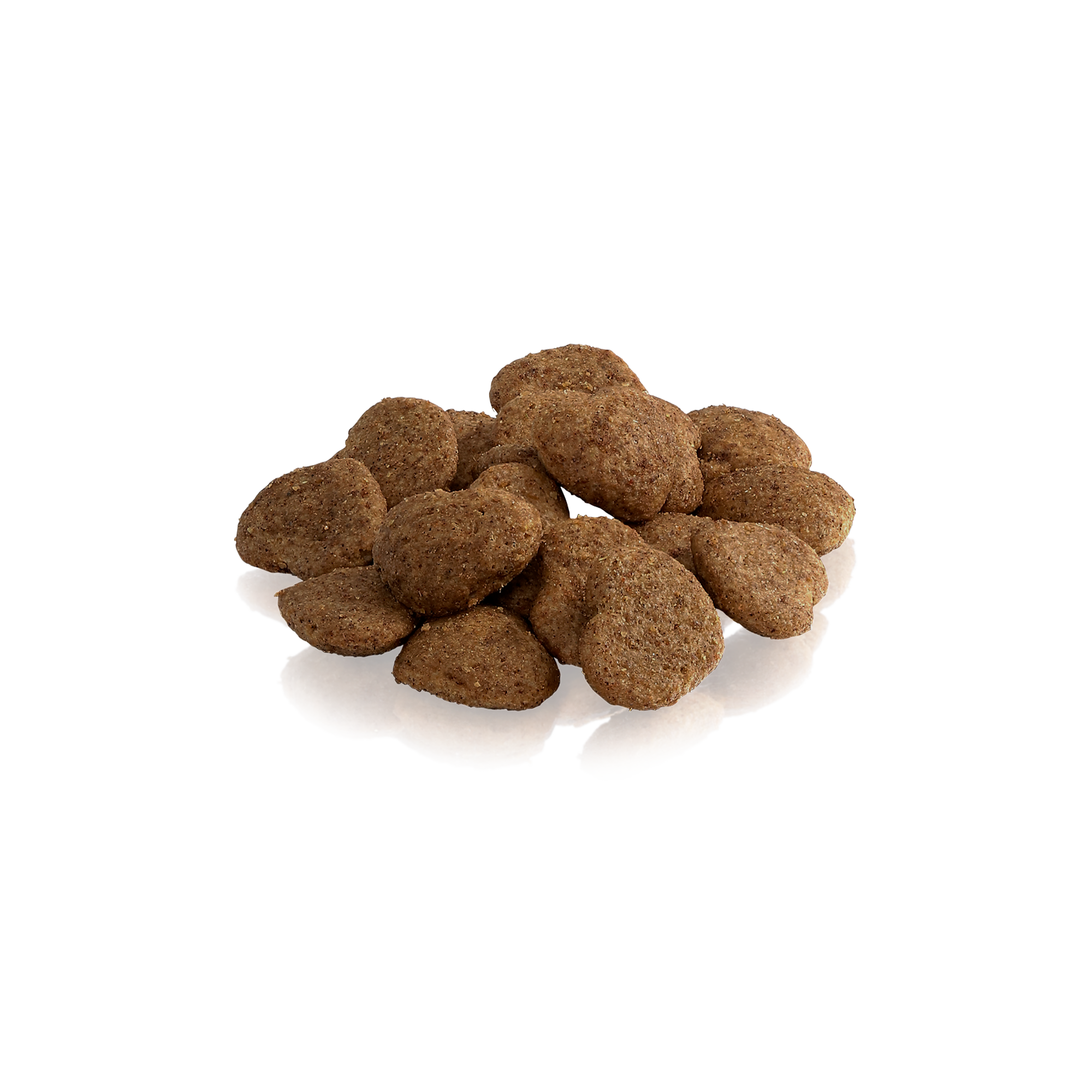 THE SILENT SHADOW x 6